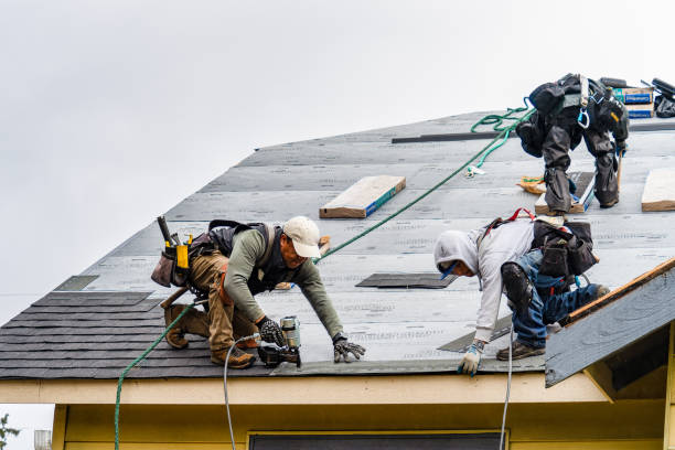 Professional Roofing technician working in New Cumberland, WV